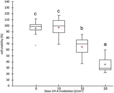 Human Metabolites of Hamaforton™ (Hamamelis virginiana L. Extract) Modulates Fibroblast Extracellular Matrix Components in Response to UV-A Irradiation